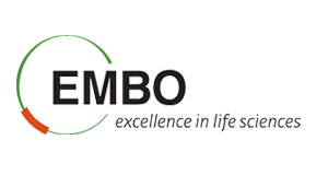 EMBO Logo